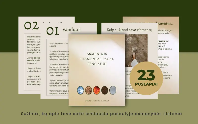 asmeninis elementas pdf į website asmeninis elementas pagal feng shui