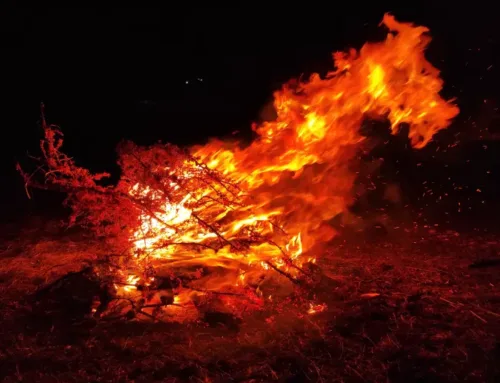 Kokie bus 2026? Ugninio arklio metai pagal kinų astrologiją